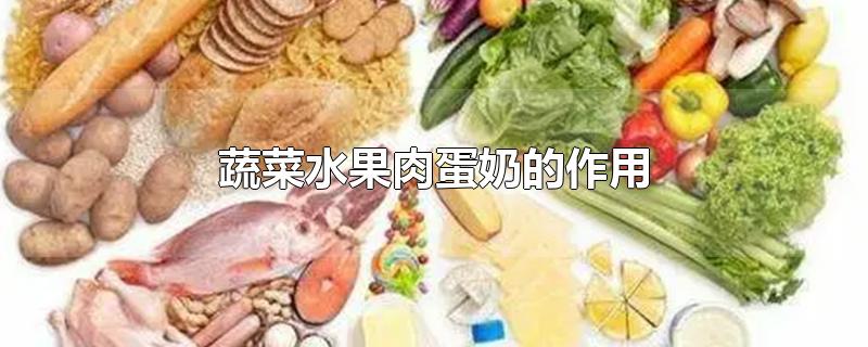 蔬菜水果肉蛋奶的作用（肉蛋奶果蔬中含有的营养物质的种类和含量）