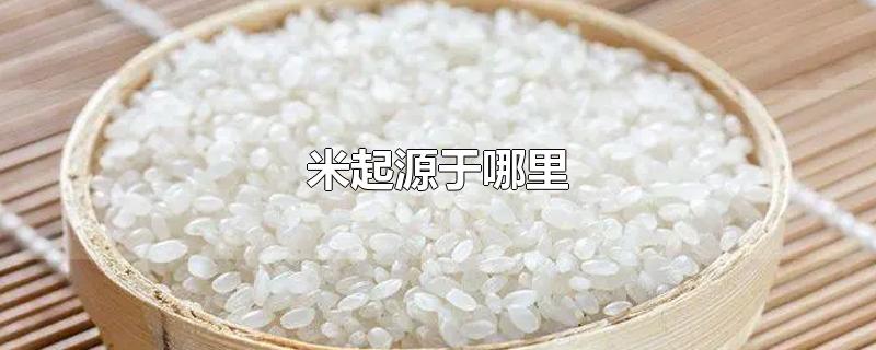 米起源于哪里（国际单位制中的长度单位米起源于哪里）