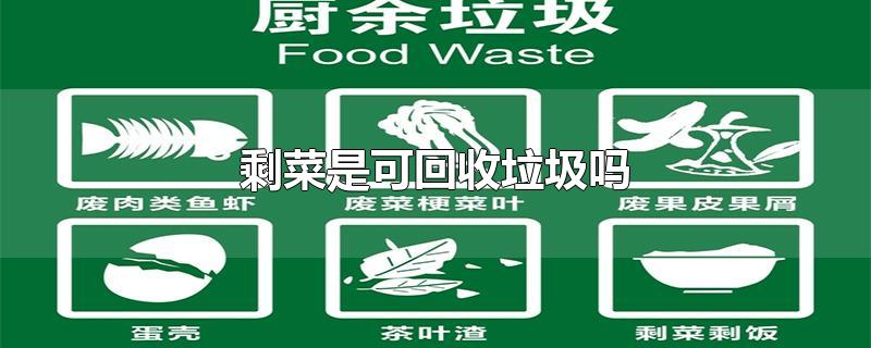 剩菜是可回收垃圾吗