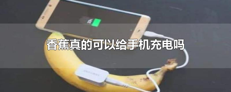 香蕉真的可以给手机充电吗（香蕉能充电吗）