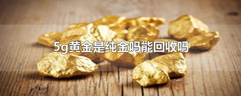 5g黄金是纯金吗能回收吗（5g硬金和黄金回收价格一样吗）