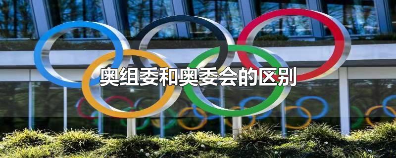 奥组委和奥委会的区别（国际奥委会和中国奥委会的关系）