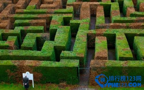 全球十大最神秘的古老迷宫（世界上最大的迷宫是什么迷宫）