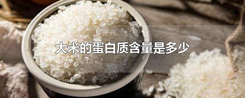 大米的蛋白质含量是多少（大米中蛋白质的含量）