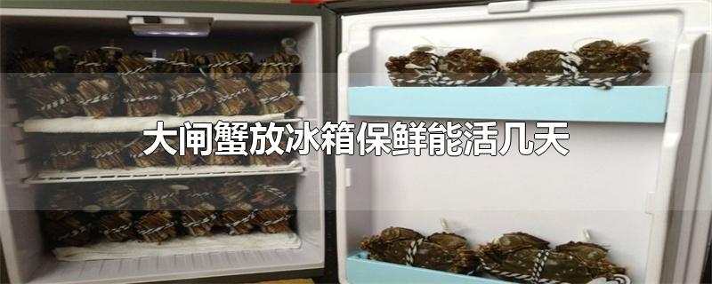 大闸蟹放冰箱保鲜能活几天（大闸蟹放入冰箱保鲜能活几天）