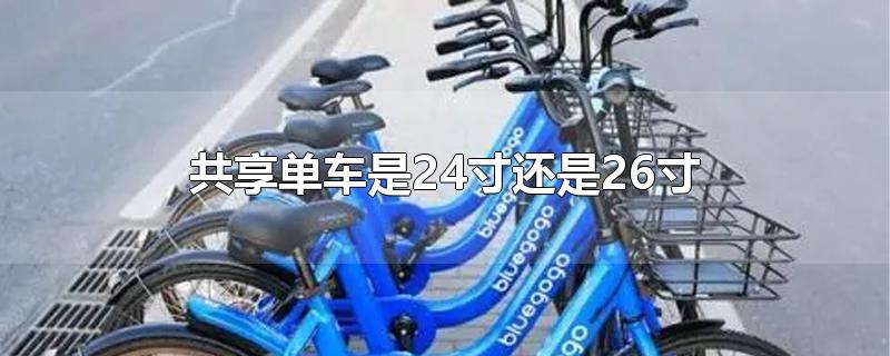 共享单车是24寸还是26寸（美团共享单车是24寸还是26寸）