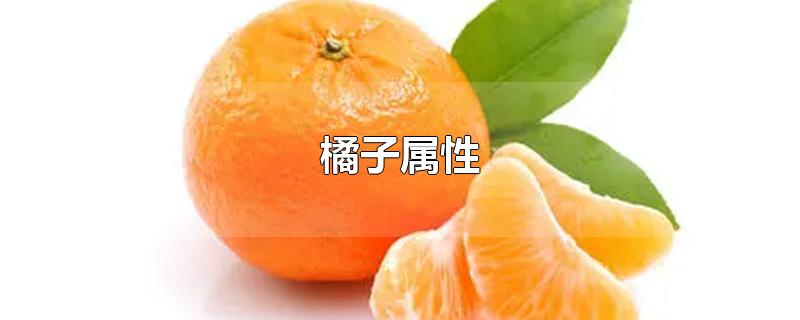 橘子属性（橘子属性热还是寒）