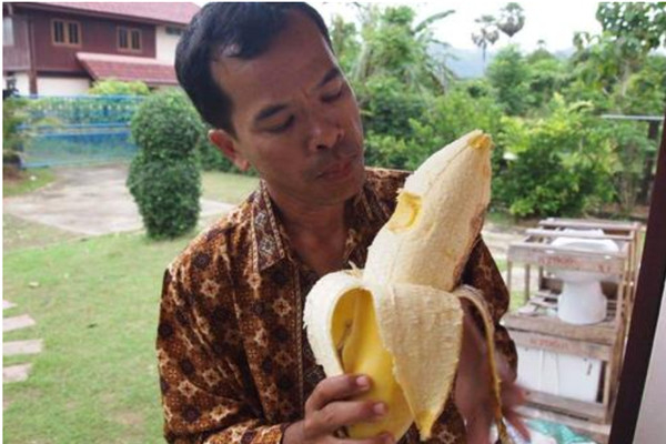 世界上最奇怪大香蕉是怎么样的 世界上最大的香蕉产地是哪（世界上最大的香蕉有多大）