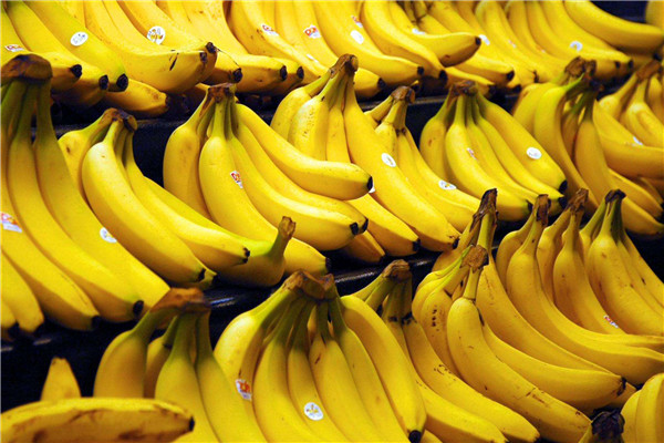 世界上最大的香蕉 巨大的香蕉令人十分恐怖相当震惊（世界上最大的香蕉有多大）