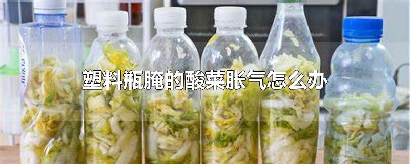 塑料瓶腌的酸菜胀气怎么办（塑料瓶腌的酸菜胀气怎么办视频）