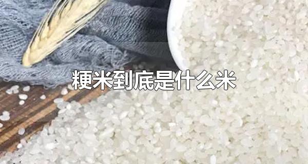 粳米到底是什么米 粳米要怎么挑选（什么叫粳米?）