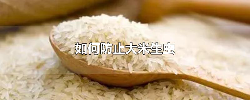 如何防止大米生虫（如何防止大米生虫子处理小诀窍）