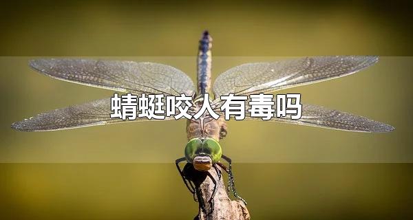 蜻蜓咬人有毒吗 蜻蜓对人类有什么作用（蜻蜓咬人有毒吗?）