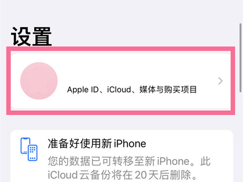 苹果怎么取消icloud自动续费6元（苹果icloud购买了自动续费怎么取消）