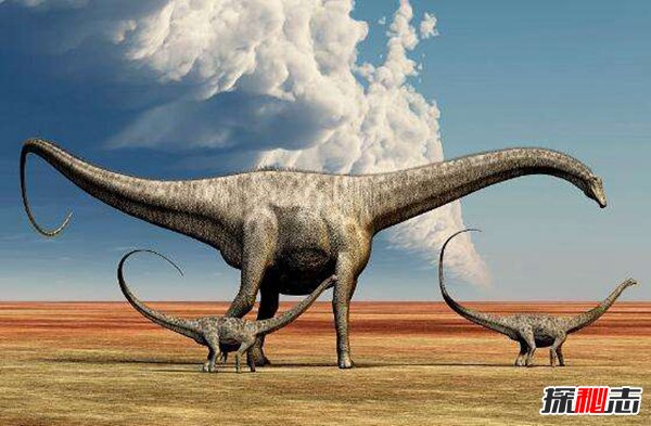 世界上最大的恐龙 地震龙可让大地地震体长超40米（世界上最大的恐龙有多大）