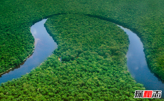世界上最大的盆地：刚果盆地,地球最大基因库之一（刚果盆地是世界上什么的盆地）