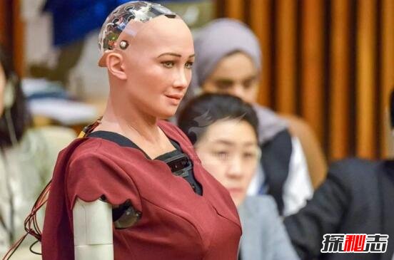 世界首位获公民身份机器人索菲亚，称要结婚生子毁灭人类（第一位机器人索菲亚）