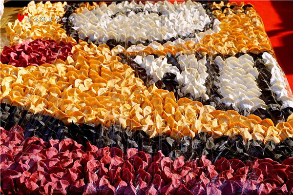 世界上面积最大的饺子拼图 由7000个饺子拼成的（世界上最小的饺子图片）