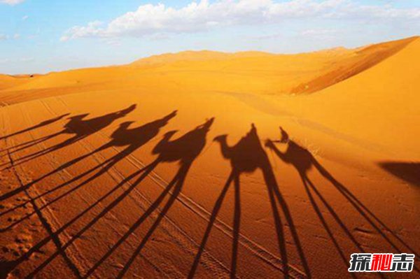世界四大沙漠排名：撒哈拉面积仅次于中国（960万km2）（世界第一大沙漠撒哈拉沙漠面积多大）