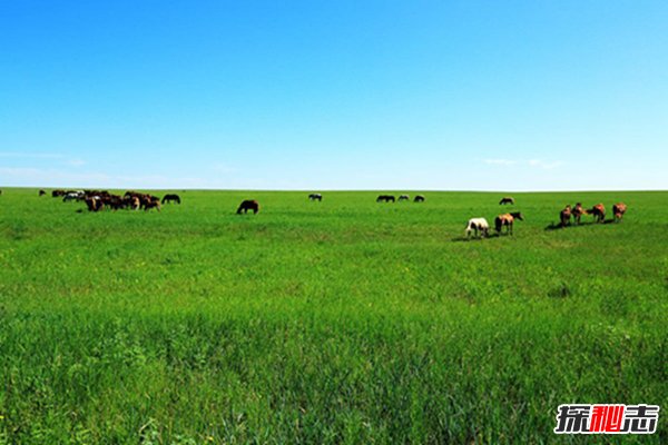 世界四大著名草原：3个来自中国第1天然牧场（世界著名的四大草原）